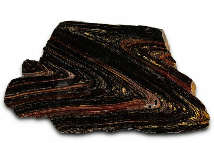 Polished Tiger Iron Stromatolite Slab - Billion Years #353240